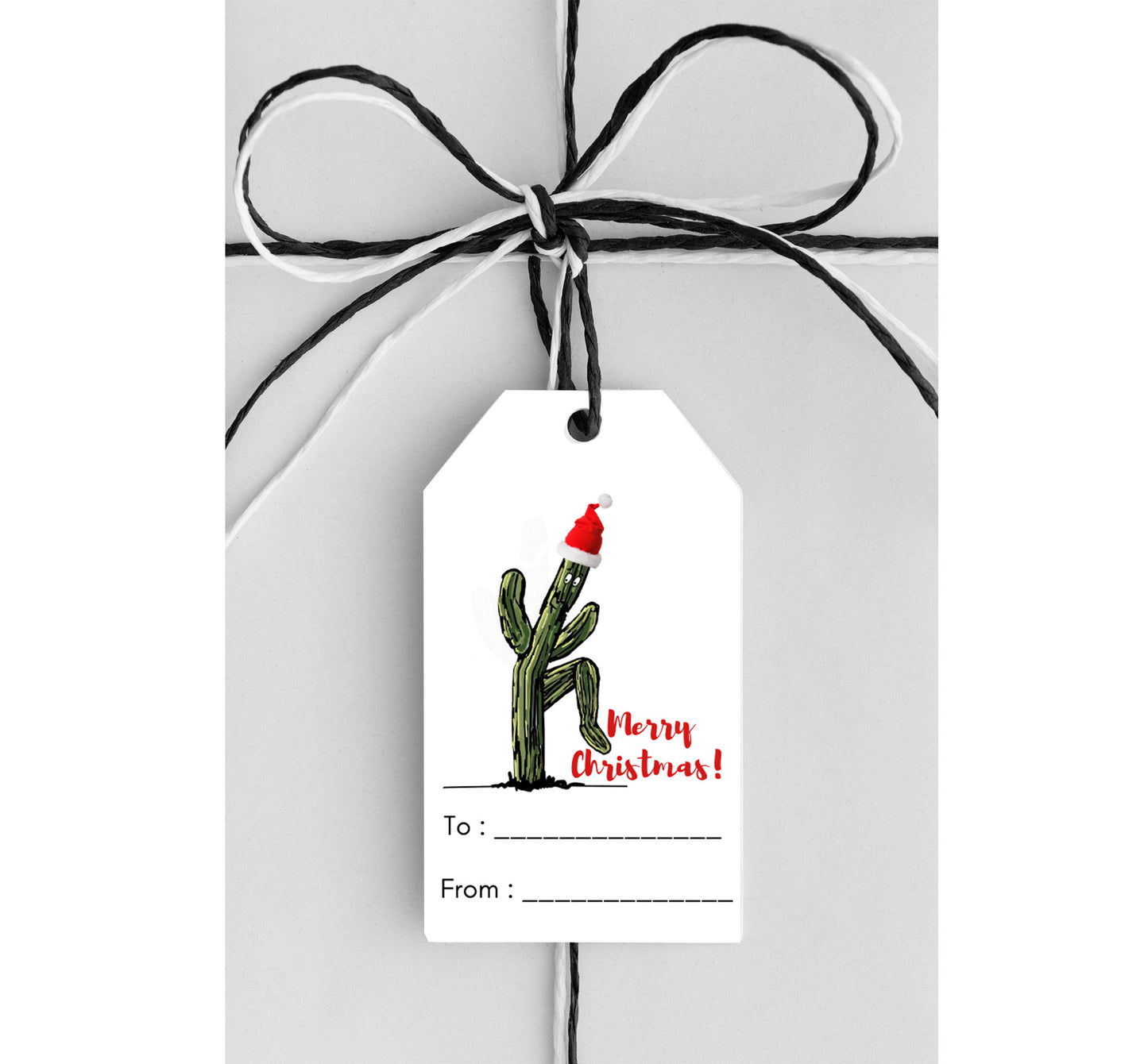 Funny Saguaro Cactus Printable Holiday Labels