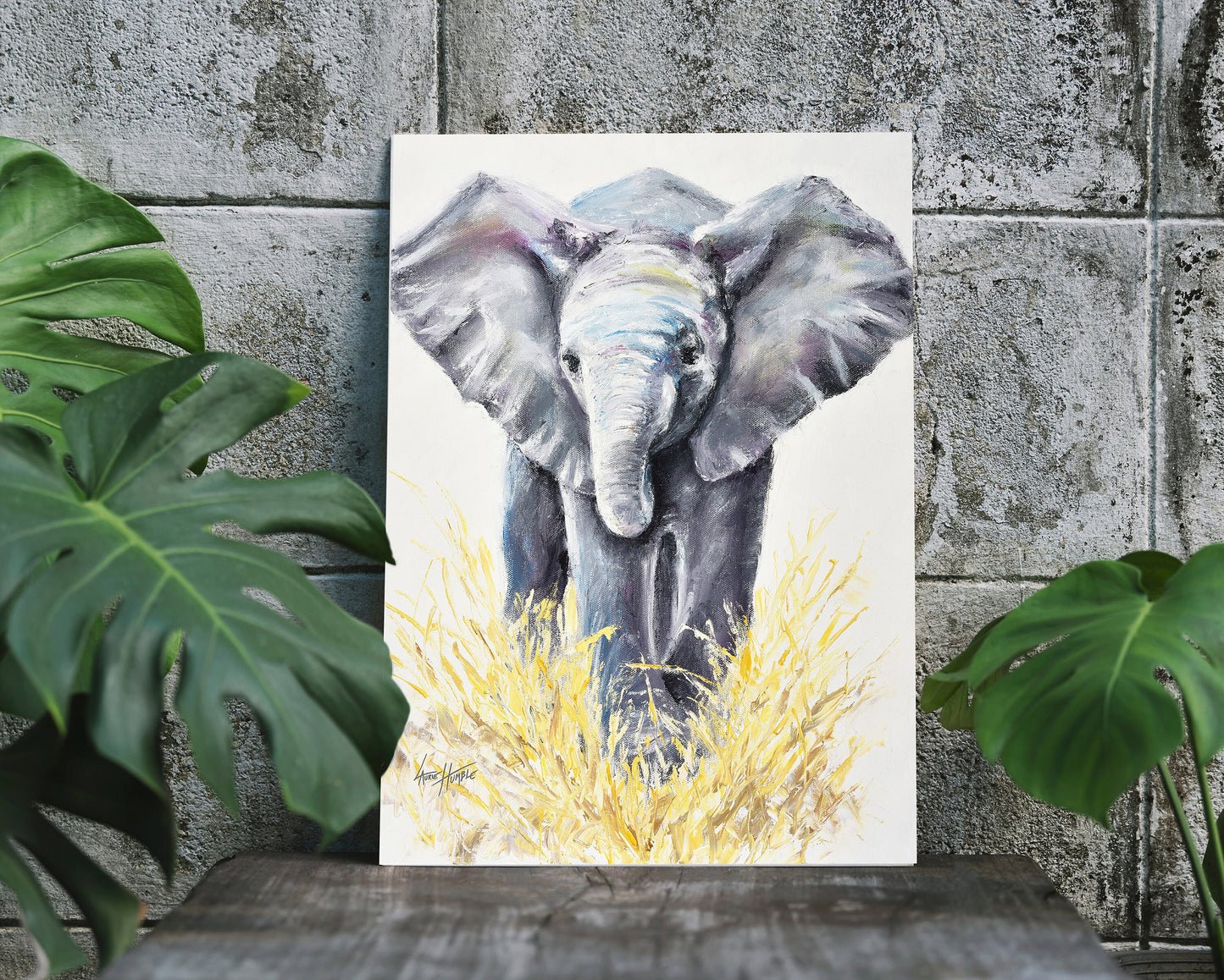 Baby Elephant Print