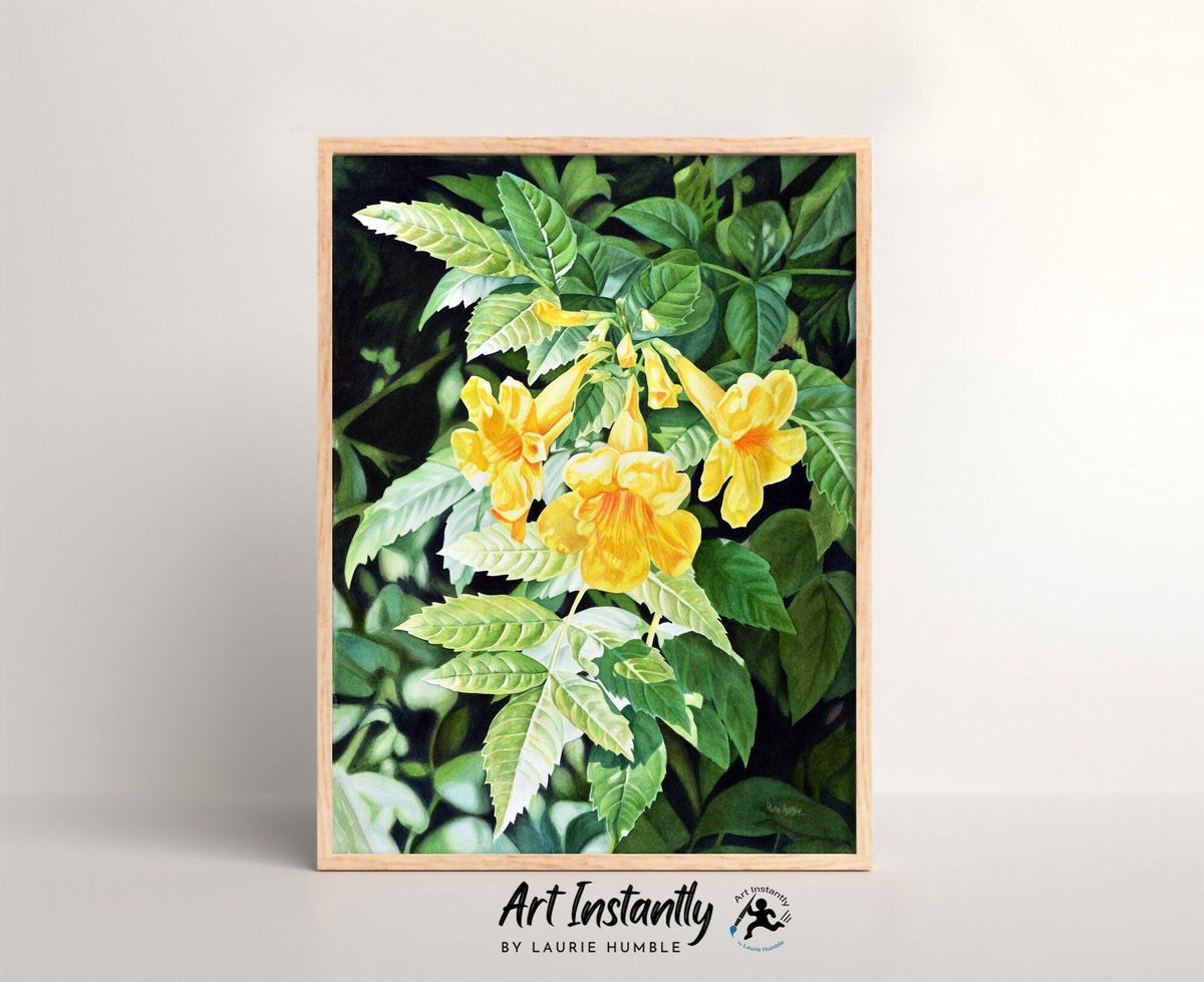 Fine Art Downloads