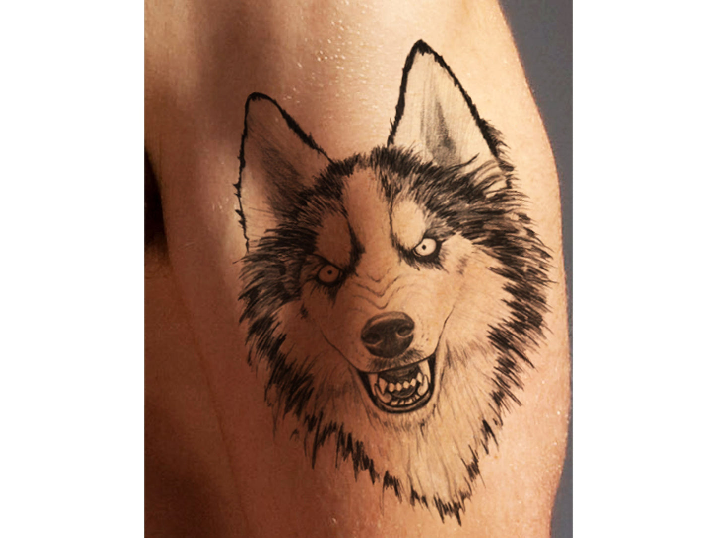 Black Wolf Tattoo Design