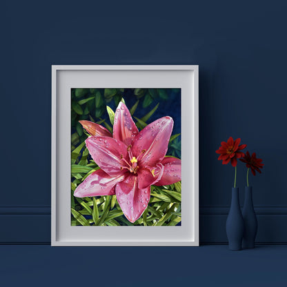 Pink Lily Floral Print