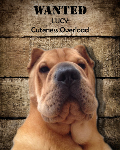 Custom Pet Portrait Poster, Personalized Pet Memorial Wall Art, Funny Pet Decor, Instant Dog or Cat Art, Printable Gift for Pet Lovers