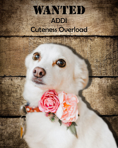 Custom Pet Portrait Download, Funny Wanted Poster Art, Personalized Pet Memorial Gift, Printable Dog or Cat Wall Art, Instant Decor