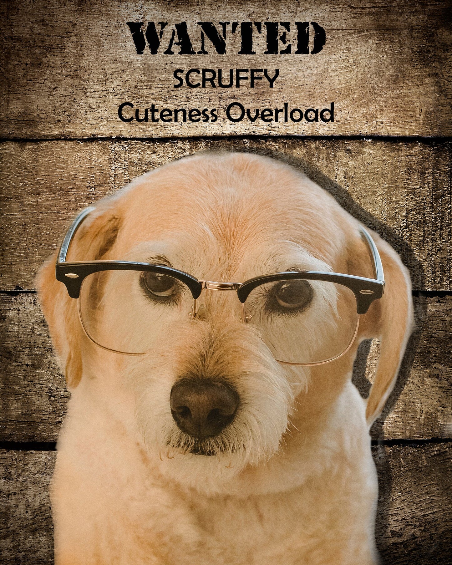 Custom Pet Portrait Download, Funny Wanted Poster Art, Personalized Pet Memorial Gift, Printable Dog or Cat Wall Art, Instant Decor