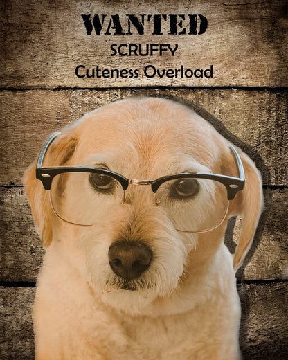 Custom Pet Portrait Download, Funny Wanted Poster Art, Personalized Pet Memorial Gift, Printable Dog or Cat Wall Art, Instant Decor
